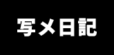 写メ日記